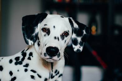 Quelle: Photo by Karolína Maršálková on Unsplash