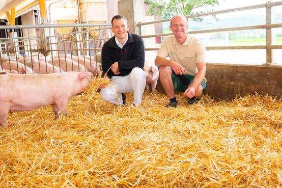 Quelle: Thilo Schöll, Metzgerei Bechler, info@metzgerei-bechler.de Metzgerei Bechler, Stockach.Thilo Schöll, geschäftsf. Inhaber achtet auf Tierwohl